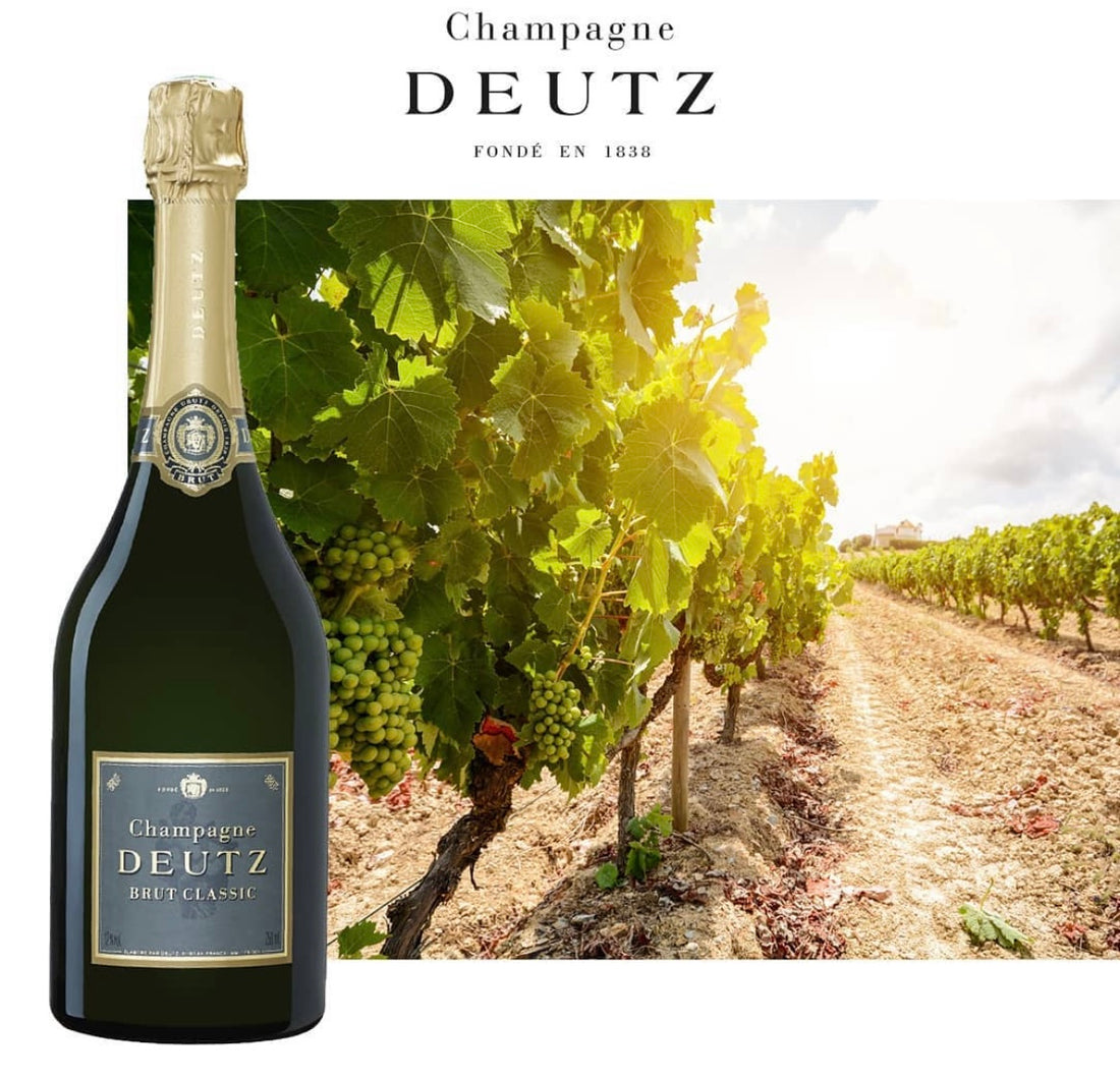 Champagne DEUTZ — další z klenotů Francie