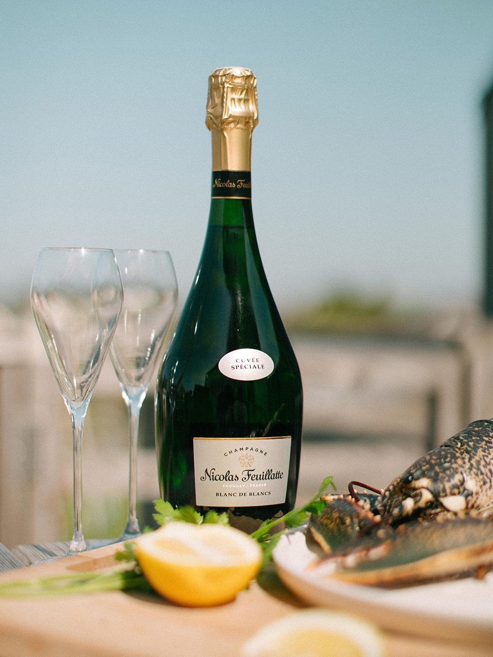 NICOLAS FEUILLATTE CUVÉE SPÉCIALE BRUT BLANC DE BLANCS 75 cL